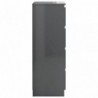 Sideboard Hochglanz-Grau 60x35x98,5 cm Spanplatte
