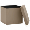 Hocker mit Stauraum 2 Stk. Cappuccino-Braun PVC