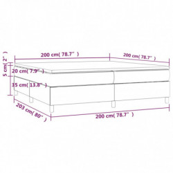 Boxspringbett mit Matratze Blau 200x200 cm Stoff