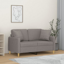 2-Sitzer-Sofa mit Zierkissen Hellgrau 120 cm Stoff