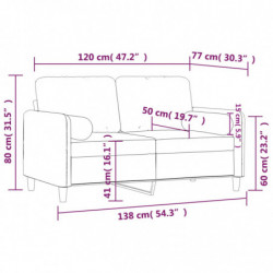 2-Sitzer-Sofa mit Zierkissen Schwarz 120 cm Samt