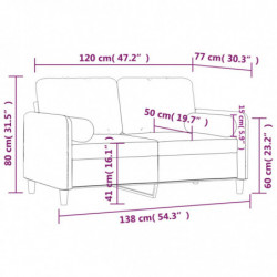 2-Sitzer-Sofa mit Zierkissen Hellgrau 120 cm Samt