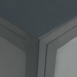 Sideboard Anthrazit 70x35x70 cm Stahl und Glas