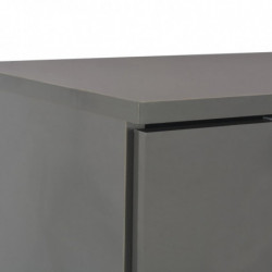 Sideboard Hochglanz-Grau 71x35x80 cm Holzwerkstoff