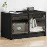 TV-Schrank mit Glastüren Schwarz 68x37x42 cm