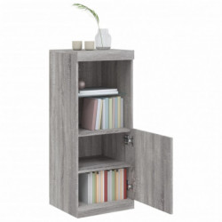 Sideboard mit LED-Leuchten Grau Sonoma 41x37x100 cm