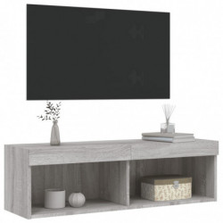 TV-Schrank mit LED-Leuchten Grau Sonoma 100x30x30 cm