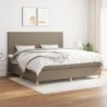 Boxspringbett mit Matratze Taupe 200x200 cm Stoff