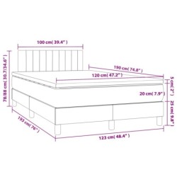 Boxspringbett mit Matratze Dunkelbraun 120x190 cm Stoff