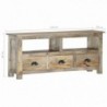 TV-Schrank 110 x 30 x 50 cm Massivholz Mango