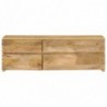 TV-Schrank Massivholz Mango 120 x 30 x 40 cm