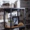 Wohnling Wandregal PURI 35x18x35 cm Sheesham Massivholz | Bücherregal Hängend | Metallregal mit Echtholz Regalboden | Kleines