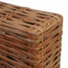 Sessel mit Auflagen Natur Rattan