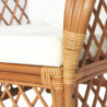 Sessel mit Kissen Hellbraun Natur-Rattan und Leinen