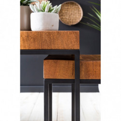 Design Satztisch WL5.660 Sheesham Metall Beistelltisch 2er Set Klein