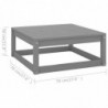 2-tlg. Garten-Lounge-Set mit Kissen Grau Kiefer Massivholz