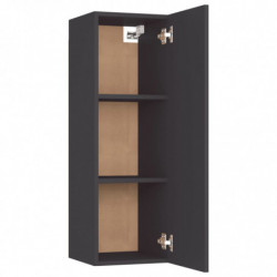 TV-Schrank Grau 30,5x30x90 cm Spanplatte