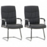 2er Set Stühle Caro