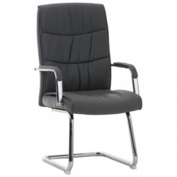 2er Set Stühle Caro
