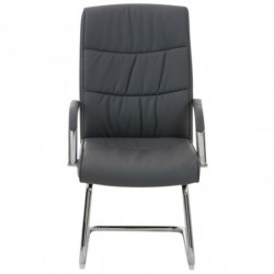 2er Set Stühle Caro