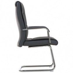 2er Set Stühle Caro
