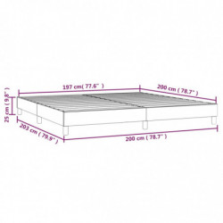 Boxspringbett Hellgrau 200x200 cm Stoff