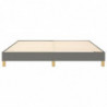 Boxspringbett Dunkelgrau 160x200 cm Stoff