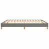 Boxspringbett Dunkelgrau 160x200 cm Stoff