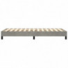 Boxspringbett Hellgrau 90x200 cm Samt