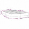 Boxspringbett Dunkelgrau 120x200 cm Samt