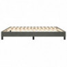 Boxspringbett Dunkelgrau 160x200 cm Samt