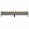 Boxspringbett Dunkelgrau 80x200 cm Stoff