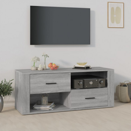 TV-Schrank Grau Sonoma 100x35x40 cm Holzwerkstoff