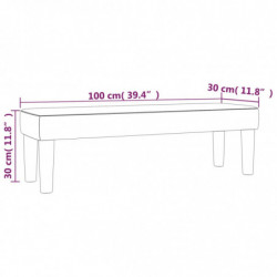 Sitzbank Hellgrau 100x30x30 cm Samt