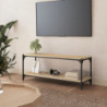 TV-Schrank Sonoma-Eiche 100x33x41 cm Holzwerkstoff und Stahl