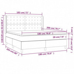 Boxspringbett mit Matratze & LED Hellgrau 180x200 cm Samt