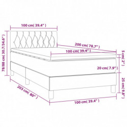 Boxspringbett mit Matratze Dunkelbraun 100x200 cm Stoff