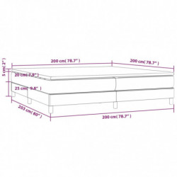 Boxspringbett mit Matratze Hellgrau 200x200 cm Samt