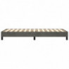 Boxspringbett Dunkelgrau 80x200 cm Samt