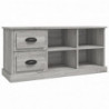 TV-Schrank Grau Sonoma 102x35,5x47,5 cm Holzwerkstoff