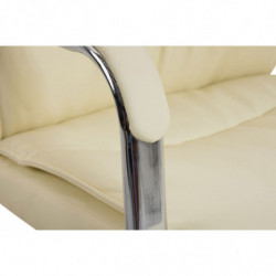 2er Set Stühle Caro