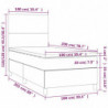 Boxspringbett mit Matratze & LED Schwarz 100x200 cm Kunstleder