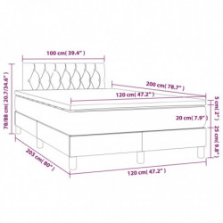 Boxspringbett mit Matratze Dunkelgrau 120x200 cm Samt