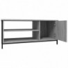 TV-Schrank Grau Sonoma 100x40x45 cm Holzwerkstoff