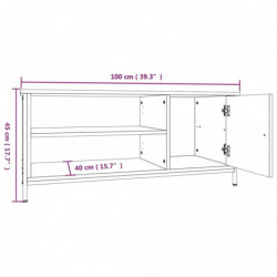 TV-Schrank Grau Sonoma 100x40x45 cm Holzwerkstoff