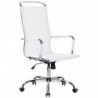 Bürostuhl Branson Mesh
