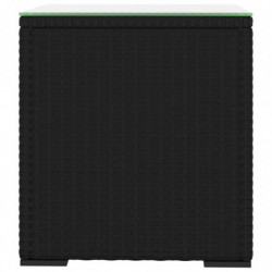 Beistelltisch Schwarz 40x37x40,5 cm Poly Rattan