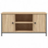 TV-Schrank Sonoma-Eiche 100x40x50 cm Holzwerkstoff