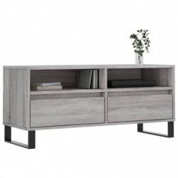 TV-Schrank Grau Sonoma 100x34,5x44,5 cm Holzwerkstoff