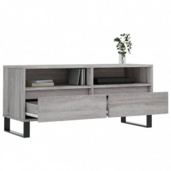 TV-Schrank Grau Sonoma 100x34,5x44,5 cm Holzwerkstoff